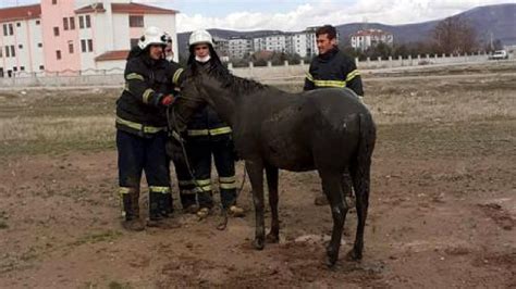 F­o­s­e­p­t­i­k­ ­ç­u­k­u­r­u­n­a­ ­d­ü­ş­e­n­ ­a­t­ı­ ­i­t­f­a­i­y­e­ ­e­k­i­p­l­e­r­i­ ­k­u­r­t­a­r­d­ı­